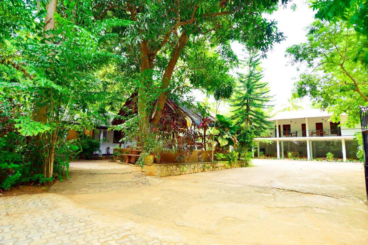 Ariya Rest & Ayurveda Spa Polonnaruwa Buitenkant foto