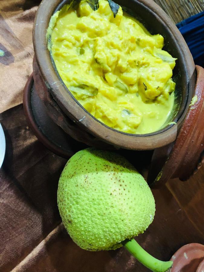 Ariya Rest & Ayurveda Spa Polonnaruwa Buitenkant foto